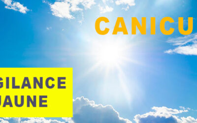Vigilance jaune pour canicule et orange feux de forêt