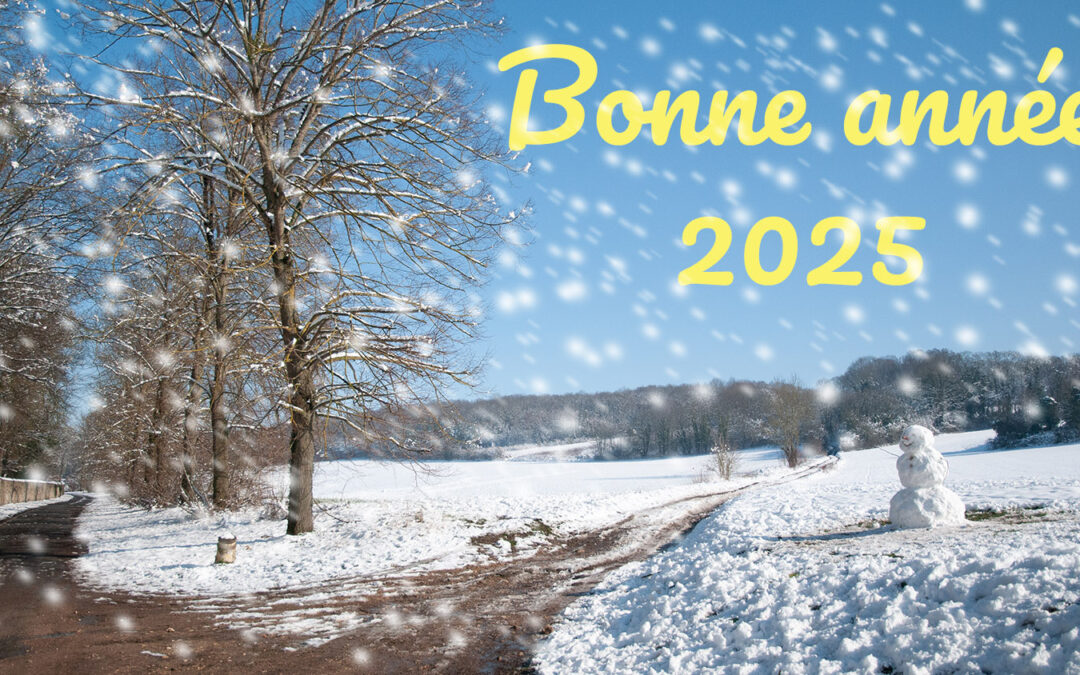 Bonne et heureuse année 2025