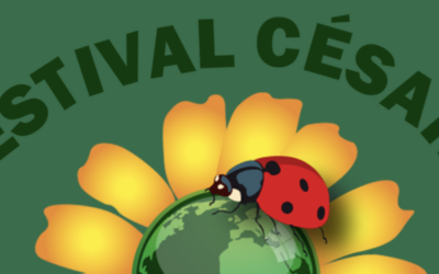 Festival Césarts du 5/09 au 1/11